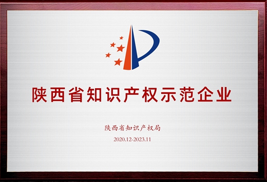 陜西省知識產權示范企業