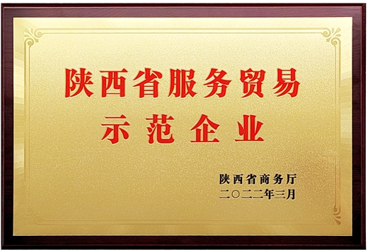 陜西省服務貿易示范企業