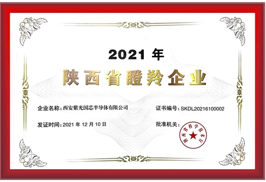 陜西省瞪羚企業